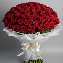 Букет 101 Красная роза Блэк Мэджик #REPLACE_PRED# Поповскую