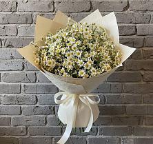 Букет цветов из:  Ромашки в Поповскую