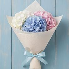 Букет цветов из:  Гортензия в Поповскую