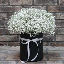 Цветочная композиция из Гипсофила в шляпной коробке в Поповскую