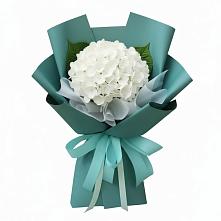 Букет цветов из:  Гортензия #REPLACE_PRED# Поповскую